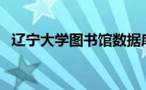 辽宁大学图书馆数据库（辽宁大学图书馆）