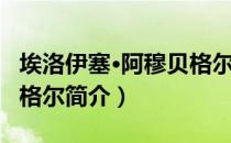 埃洛伊塞·阿穆贝格尔（关于埃洛伊塞·阿穆贝格尔简介）