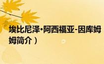 埃比尼泽·阿西福亚-因库姆（关于埃比尼泽·阿西福亚-因库姆简介）