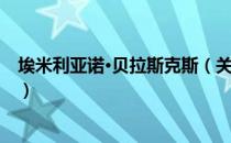 埃米利亚诺·贝拉斯克斯（关于埃米利亚诺·贝拉斯克斯简介）