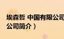 埃森哲 中国有限公司（关于埃森哲 中国有限公司简介）