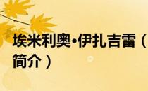 埃米利奥·伊扎吉雷（关于埃米利奥·伊扎吉雷简介）