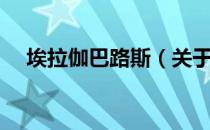埃拉伽巴路斯（关于埃拉伽巴路斯简介）