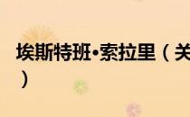 埃斯特班·索拉里（关于埃斯特班·索拉里简介）