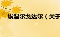 埃涅尔戈达尔（关于埃涅尔戈达尔简介）