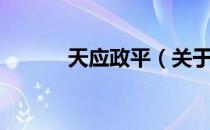 天应政平（关于天应政平简介）