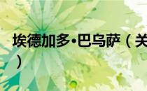 埃德加多·巴乌萨（关于埃德加多·巴乌萨简介）
