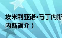 埃米利亚诺·马丁内斯（关于埃米利亚诺·马丁内斯简介）