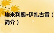 埃米利奥·伊扎古雷（关于埃米利奥·伊扎古雷简介）