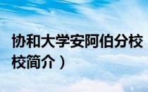 协和大学安阿伯分校（关于协和大学安阿伯分校简介）