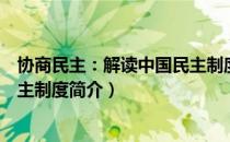 协商民主：解读中国民主制度（关于协商民主：解读中国民主制度简介）
