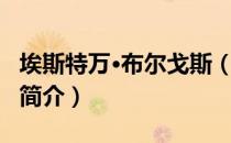 埃斯特万·布尔戈斯（关于埃斯特万·布尔戈斯简介）