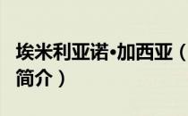 埃米利亚诺·加西亚（关于埃米利亚诺·加西亚简介）