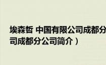 埃森哲 中国有限公司成都分公司（关于埃森哲 中国有限公司成都分公司简介）