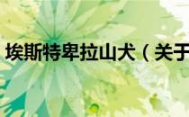 埃斯特卑拉山犬（关于埃斯特卑拉山犬简介）