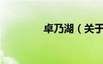 卓乃湖（关于卓乃湖简介）