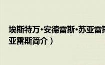 埃斯特万·安德雷斯·苏亚雷斯（关于埃斯特万·安德雷斯·苏亚雷斯简介）