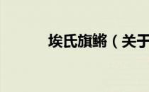 埃氏旗鳉（关于埃氏旗鳉简介）
