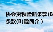协会货物险新条款(B)险（关于协会货物险新条款(B)险简介）