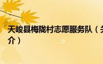 天峻县梅陇村志愿服务队（关于天峻县梅陇村志愿服务队简介）