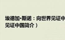 埃德加·斯诺：向世界见证中国（关于埃德加·斯诺：向世界见证中国简介）