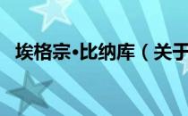 埃格宗·比纳库（关于埃格宗·比纳库简介）