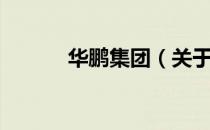 华鹏集团（关于华鹏集团简介）
