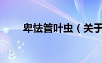 卑怯管叶虫（关于卑怯管叶虫简介）