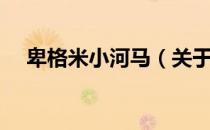 卑格米小河马（关于卑格米小河马简介）