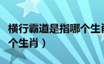 横行霸道是指哪个生肖快播（横行霸道是指哪个生肖）