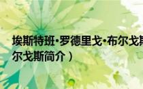 埃斯特班·罗德里戈·布尔戈斯（关于埃斯特班·罗德里戈·布尔戈斯简介）