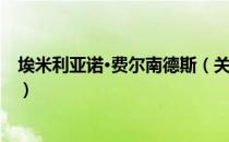 埃米利亚诺·费尔南德斯（关于埃米利亚诺·费尔南德斯简介）