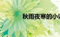 秋雨夜寒的小说（秋雨夜寒）