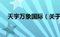 天宇万象国际（关于天宇万象国际简介）
