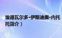 埃德瓦尔多·伊斯迪奥·内托（关于埃德瓦尔多·伊斯迪奥·内托简介）