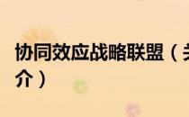 协同效应战略联盟（关于协同效应战略联盟简介）