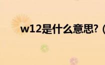 w12是什么意思?（w12是什么意思）