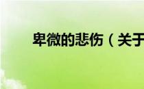 卑微的悲伤（关于卑微的悲伤简介）