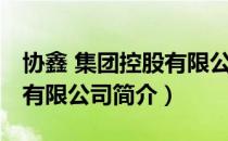 协鑫 集团控股有限公司（关于协鑫 集团控股有限公司简介）