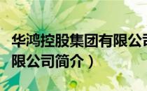 华鸿控股集团有限公司（关于华鸿控股集团有限公司简介）