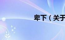 卑下（关于卑下简介）