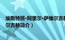 埃斯特班·阿里尔·萨维尔吉赫（关于埃斯特班·阿里尔·萨维尔吉赫简介）
