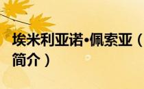 埃米利亚诺·佩索亚（关于埃米利亚诺·佩索亚简介）