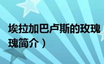 埃拉加巴卢斯的玫瑰（关于埃拉加巴卢斯的玫瑰简介）