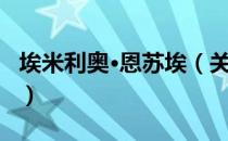 埃米利奥·恩苏埃（关于埃米利奥·恩苏埃简介）