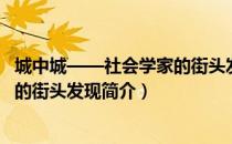 城中城——社会学家的街头发现（关于城中城——社会学家的街头发现简介）