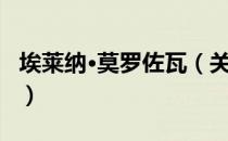 埃莱纳·莫罗佐瓦（关于埃莱纳·莫罗佐瓦简介）