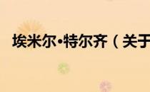 埃米尔·特尔齐（关于埃米尔·特尔齐简介）