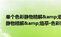 单个色彩静物精解&临摹·色彩密码3（关于单个色彩静物精解&临摹·色彩密码3简介）