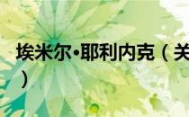 埃米尔·耶利内克（关于埃米尔·耶利内克简介）